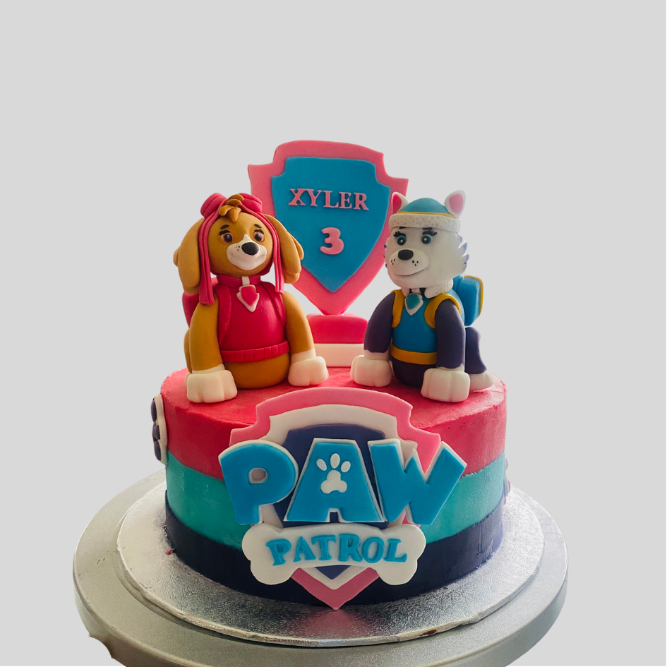 Paw Patrol Skye & Everest